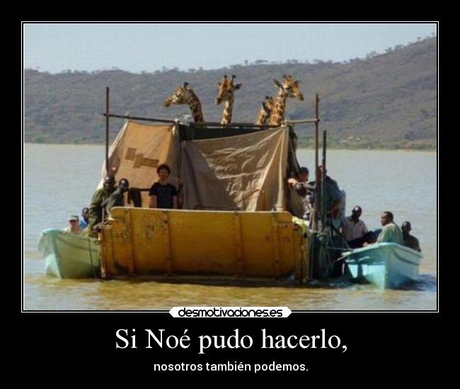 Si Noé pudo hacerlo, -