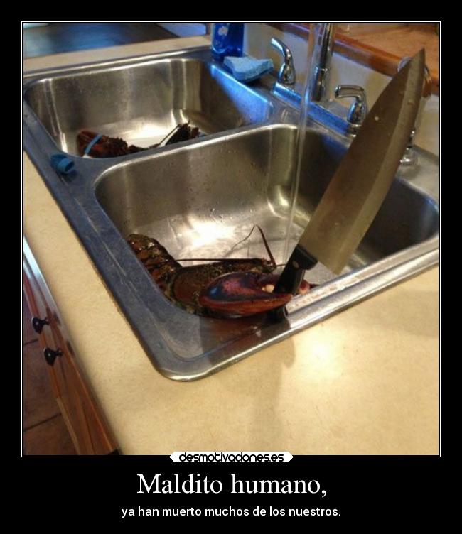 Maldito humano, - ya han muerto muchos de los nuestros.