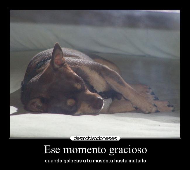 Ese momento gracioso - 