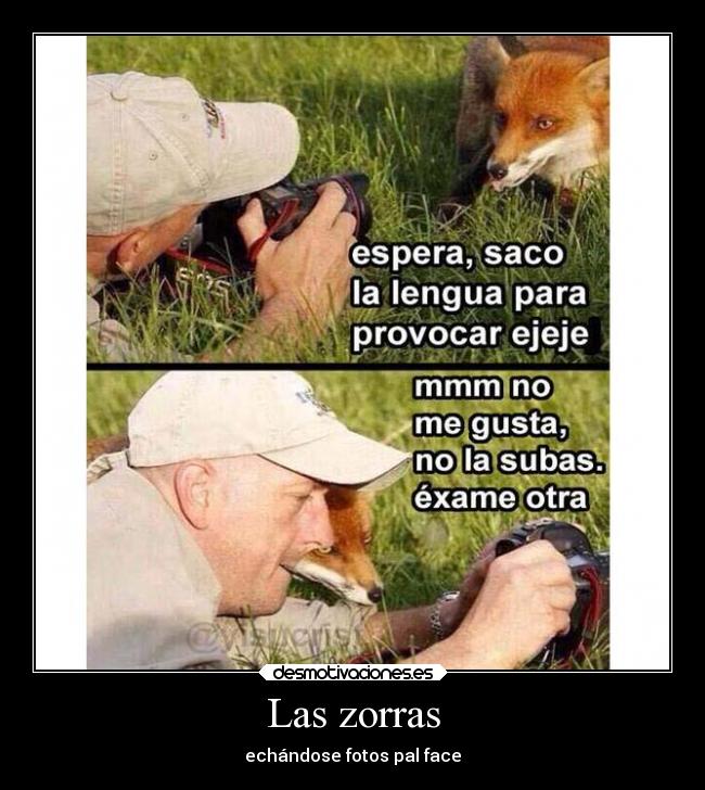 Las zorras - echándose fotos pal face
