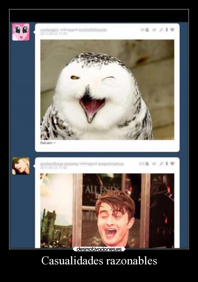 carteles humor desmotivaciones tonteriasde karaoke soyunidiotatm desmotivaciones