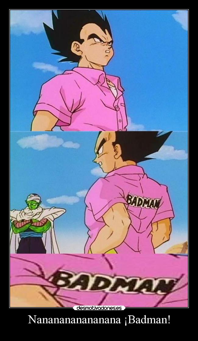 carteles humor dragonball vegeta badman camisarosa chicomalo nanana elpatodelapiovendehierba desmotivaciones