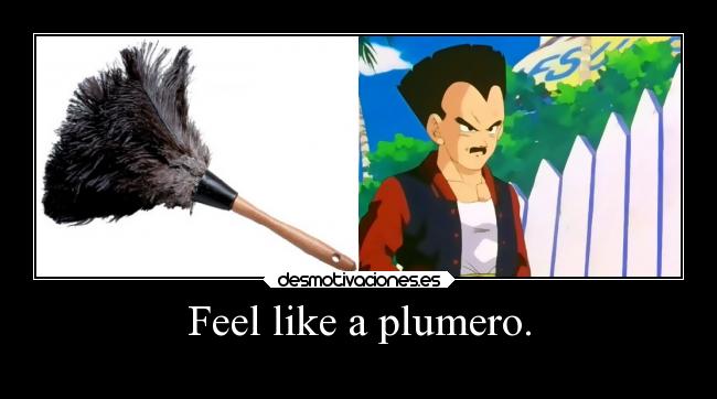 Feel like a plumero. - 