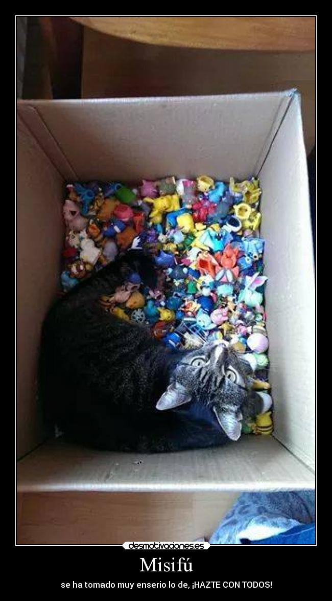 Misifú - se ha tomado muy enserio lo de, ¡HAZTE CON TODOS!