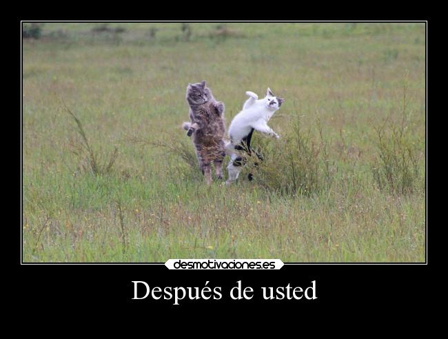 Después de usted - 