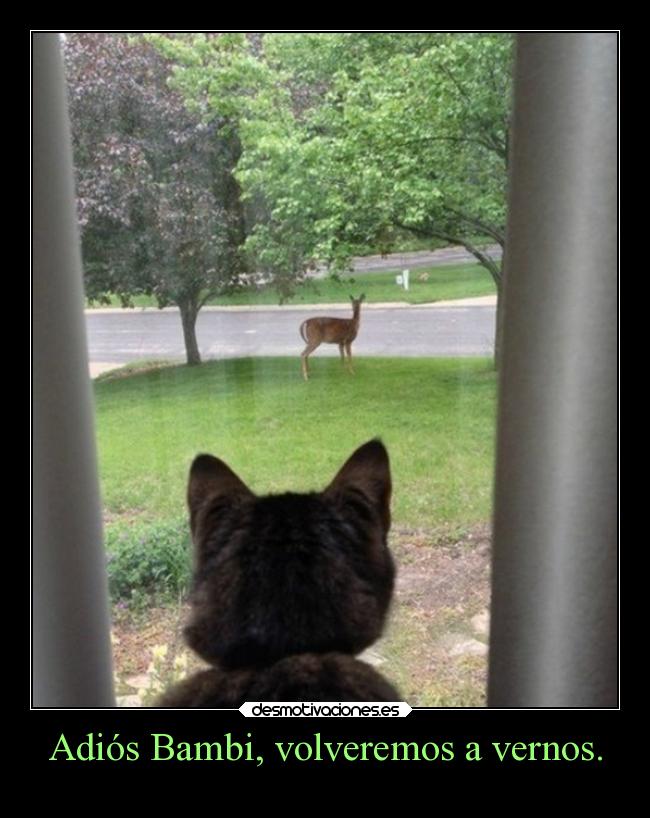 Adiós Bambi, volveremos a vernos. -