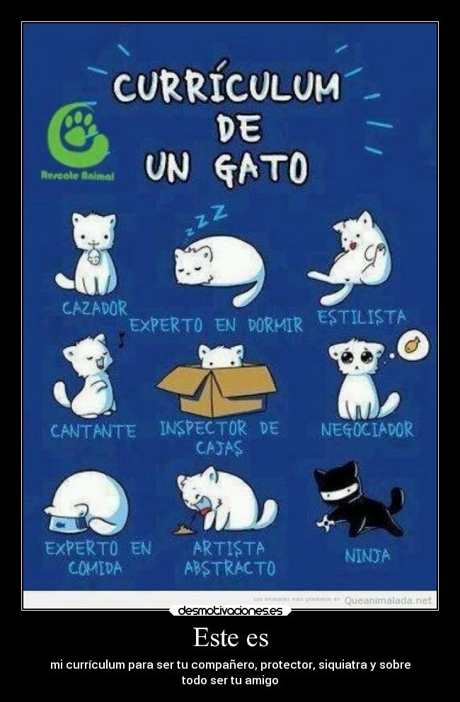 Este es - mi currículum para ser tu compañero, protector, siquiatra y sobre
todo ser tu amigo