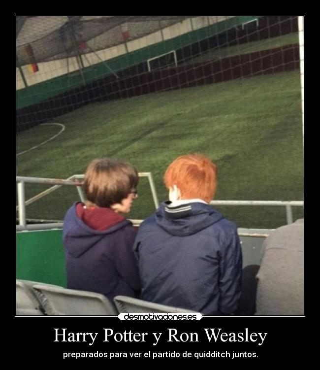 Harry Potter y Ron Weasley -