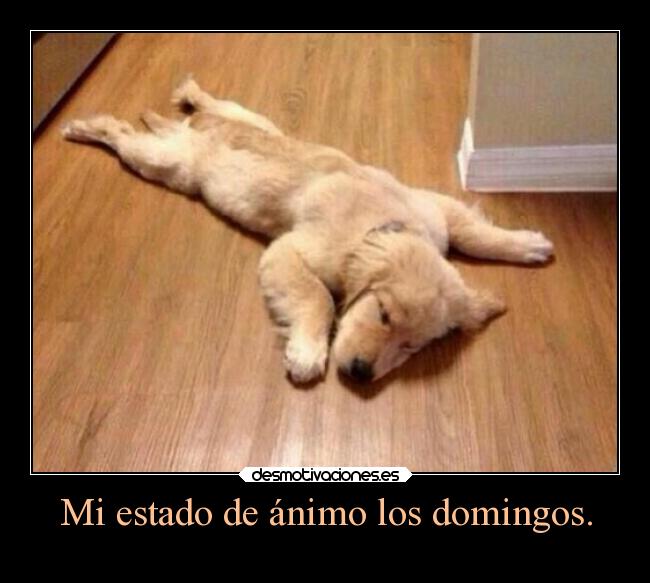 Mi estado de ánimo los domingos. - 