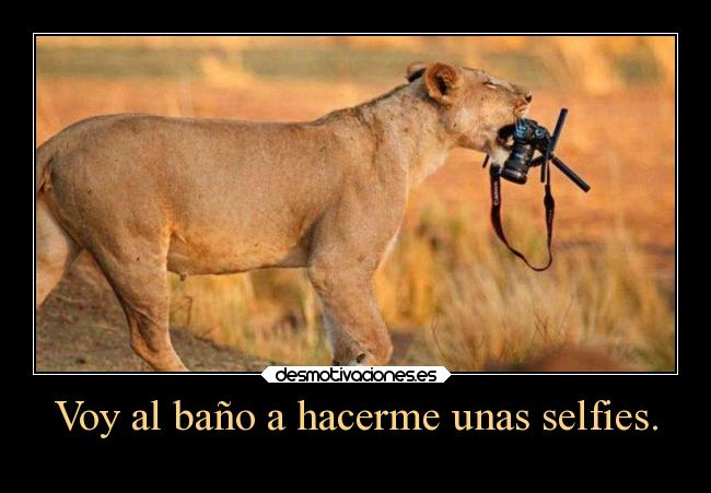 Voy al baño a hacerme unas selfies. - 
