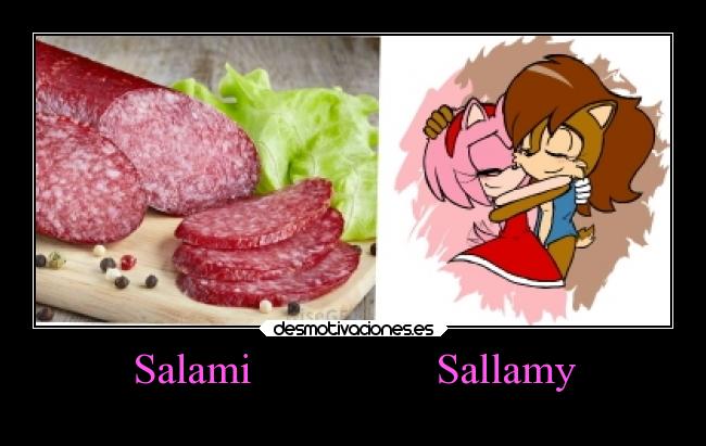 carteles humor grafico sally amy salami mismo knuckles89 desmotivaciones