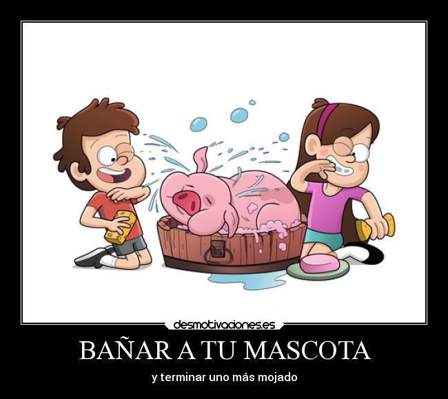 BAÑAR A TU MASCOTA - y terminar uno más mojado