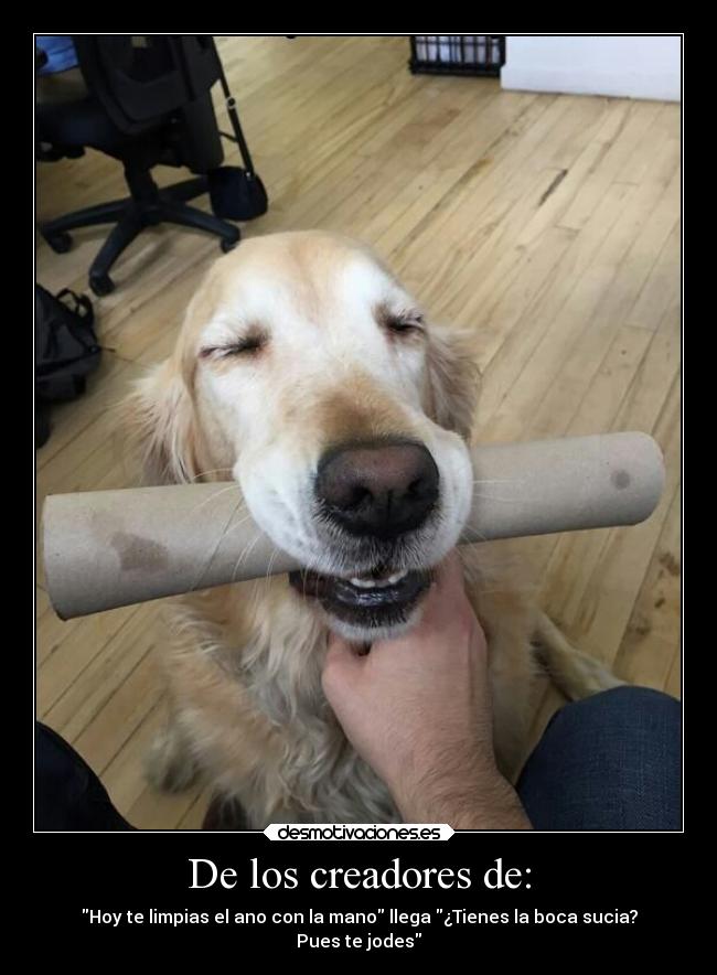 De los creadores de: -