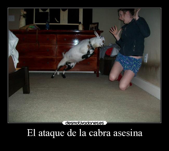 El ataque de la cabra asesina - 