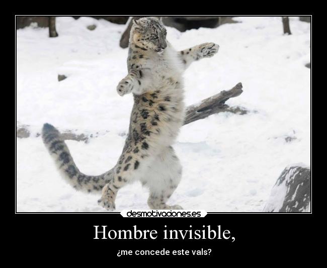 Hombre invisible, - ¿me concede este vals?