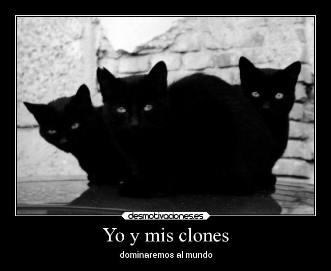 Yo y mis clones - dominaremos al mundo