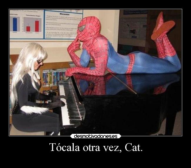 carteles humor spiderman tocalaotravezsam catwoman casablanca esunchisteinteligente desmotivaciones