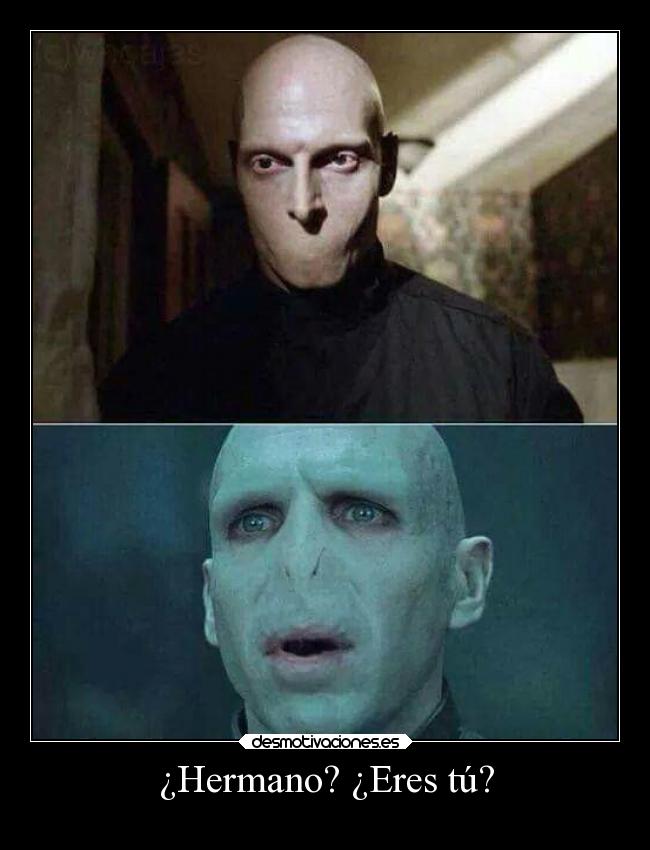 ¿Hermano? ¿Eres tú? -