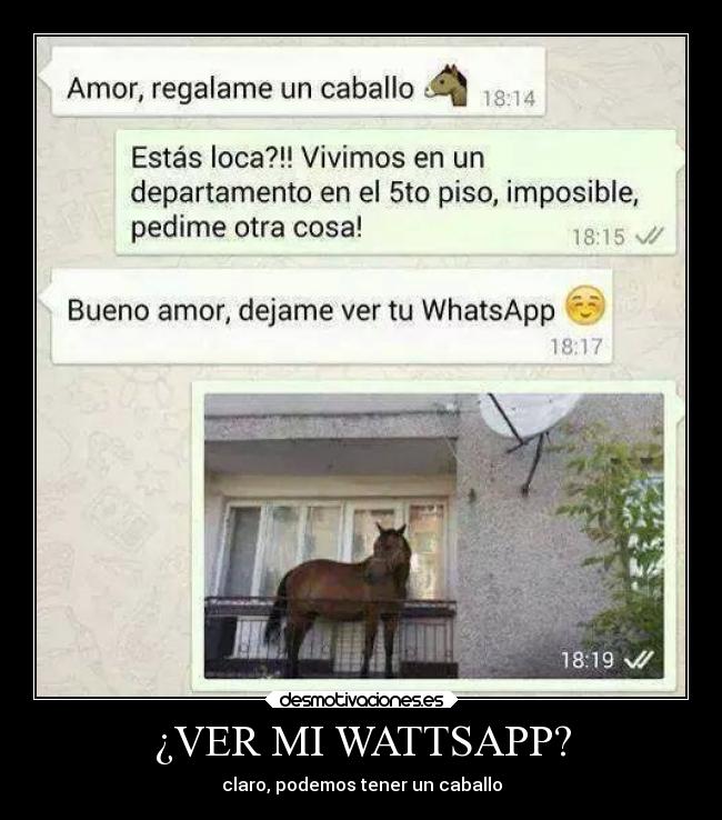 ¿VER MI WATTSAPP? -