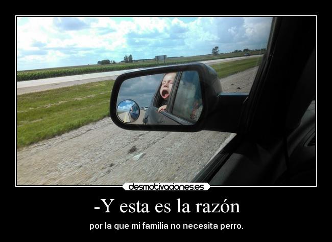 -Y esta es la razón -