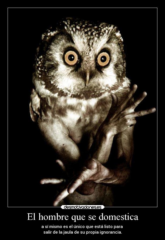 El hombre que se domestica - 