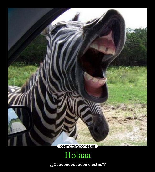 Holaaa - ¿¿Cóóóóóóóóóóóómo estas??