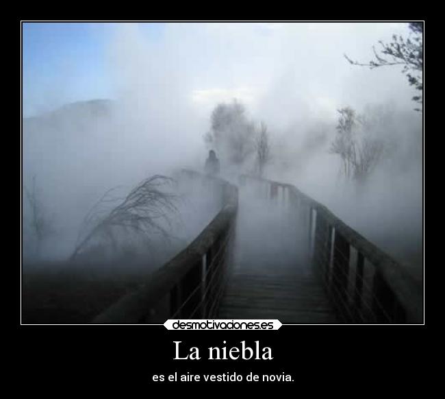 La niebla - es el aire vestido de novia.