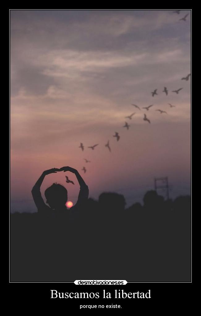 Buscamos la libertad -
