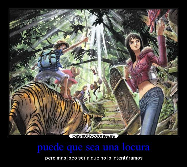 puede que sea una locura - pero mas loco seria que no lo intentáramos