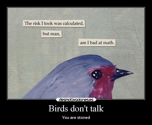 Birds dont talk - You are stoned