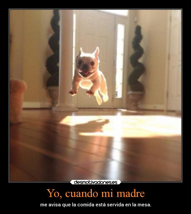 Yo, cuando mi madre -