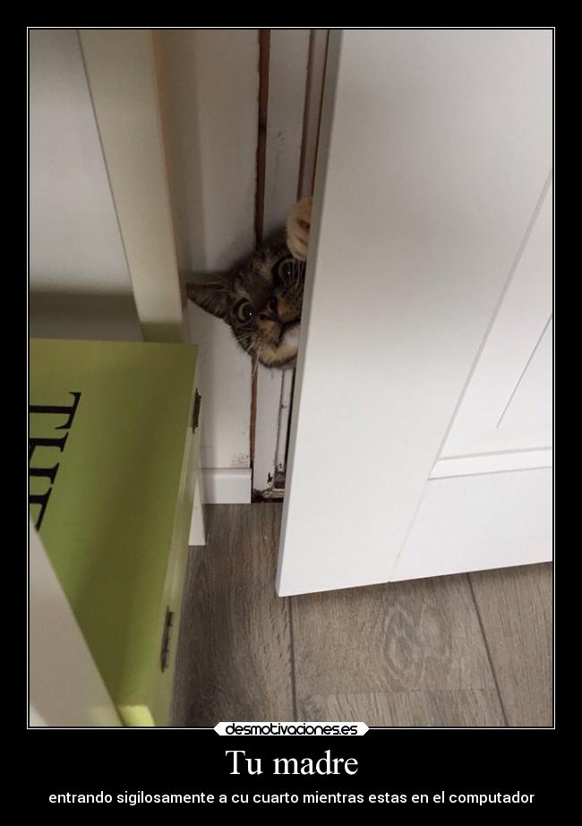 carteles madre madre libertad internet infancia debilidad desmotivaciones