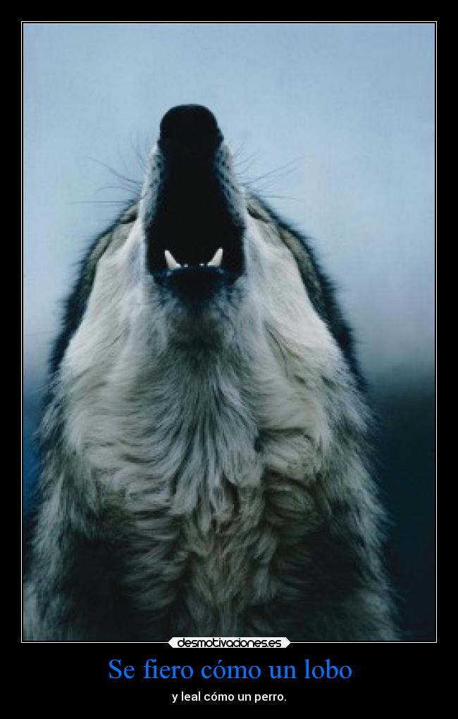 carteles madurar pensamientos vida animales sandy78cris desmotivaciones