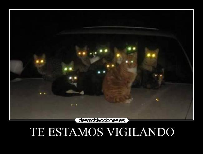 TE ESTAMOS VIGILANDO -