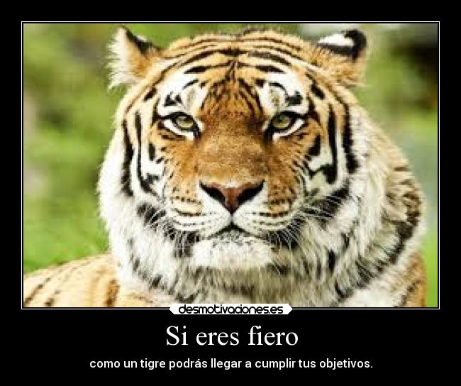 Si eres fiero - 