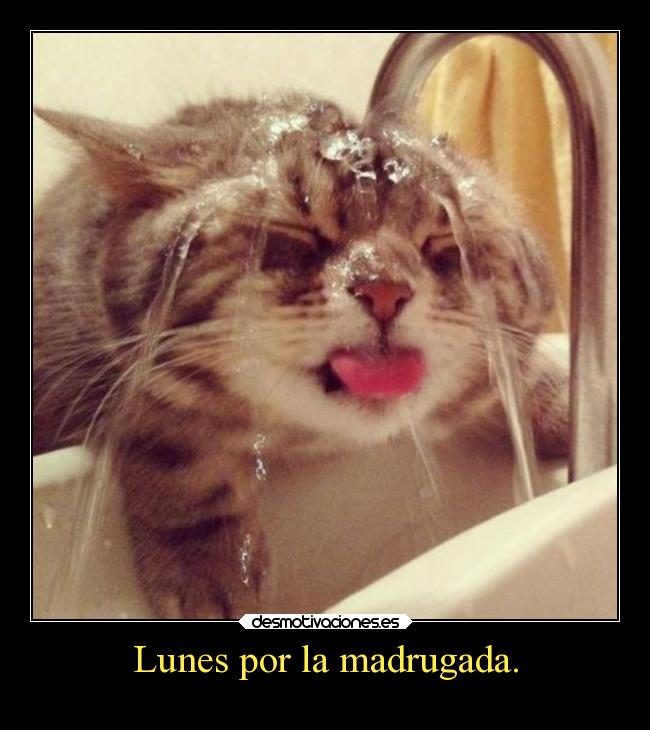 carteles motivaciones lunes desmotivaciones