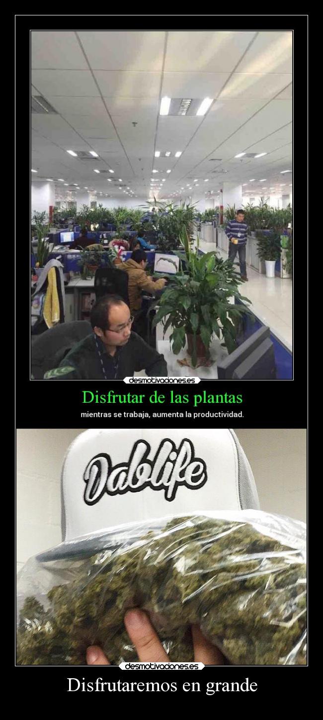 carteles motivaciones rdm soyunidiotatm projectd invitoalamusaxd desmotivaciones