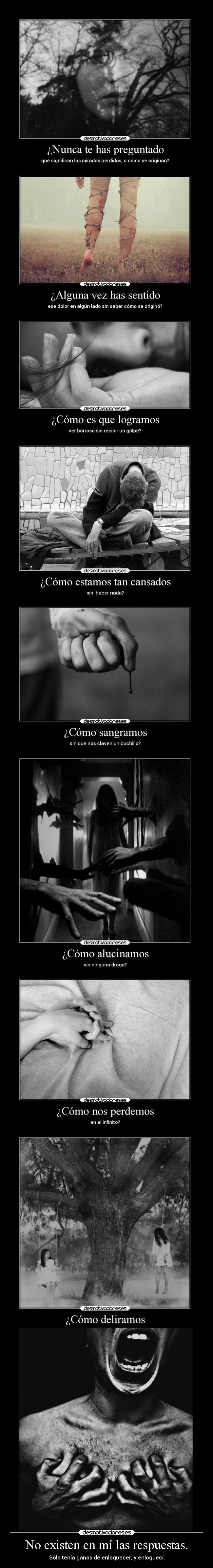 No existen en mí las respuestas. -