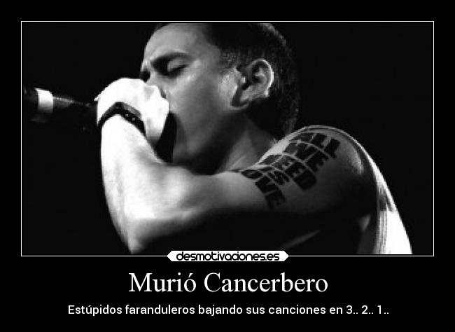 Murió Cancerbero - Estúpidos faranduleros bajando sus canciones en 3.. 2.. 1..