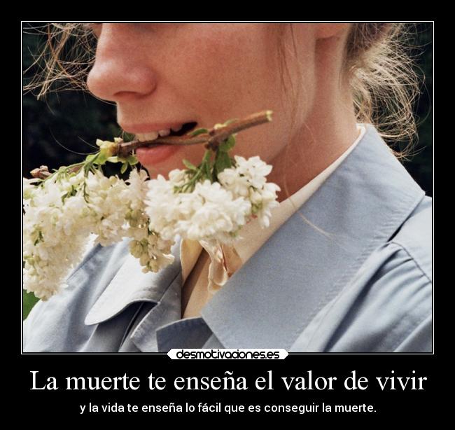 carteles muerte muerte upsetworld desmotivaciones