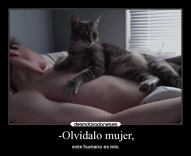 carteles mujer animales chorradas lalala helena69 lololo desmotivaciones