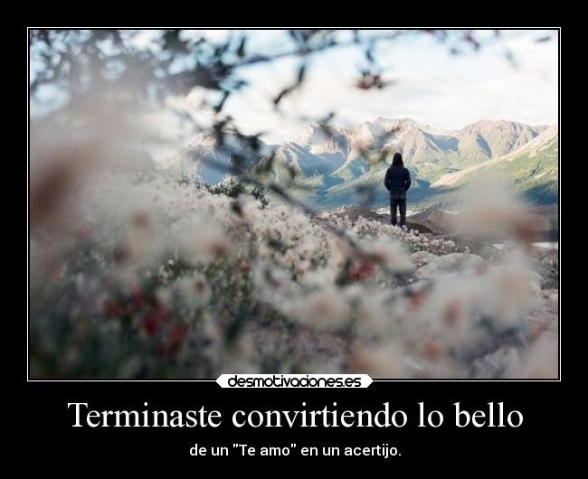 Terminaste convirtiendo lo bello - de un Te amo en un acertijo.