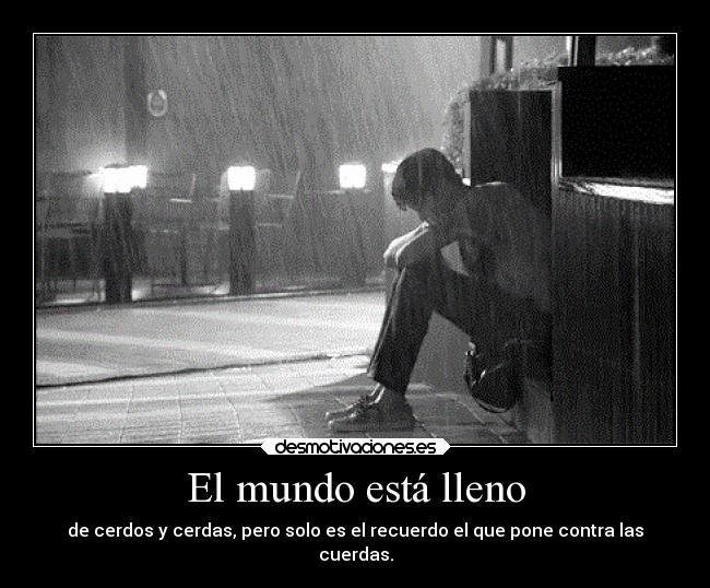 El mundo está lleno - de cerdos y cerdas, pero solo es el recuerdo el que pone contra las
cuerdas.