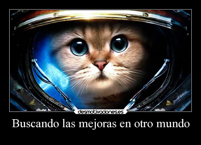 Buscando las mejoras en otro mundo - 