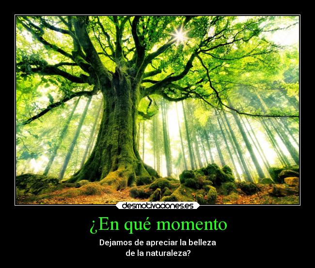 carteles mundo naturaleza felicidad verde arbol ambiente mdteach kuroshonen desmotivaciones