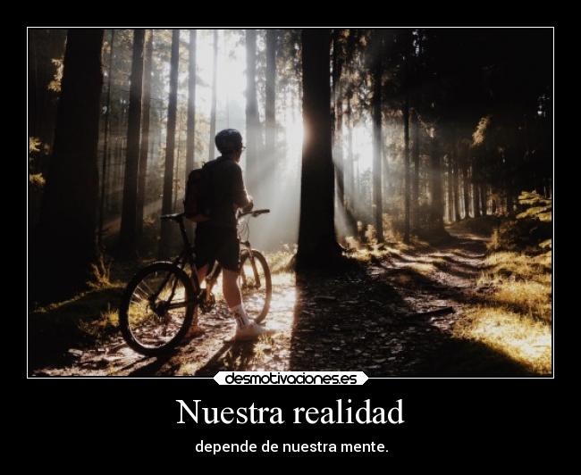 Nuestra realidad - 