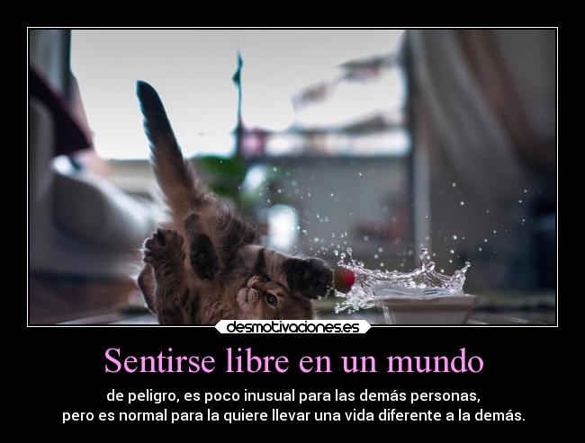 Sentirse libre en un mundo - 