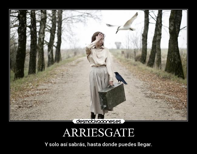 carteles mundo vida carpediem lavidaesuna poder decider lograr suenos metas alcanzar serfeliz arriesgarse desmotivaciones