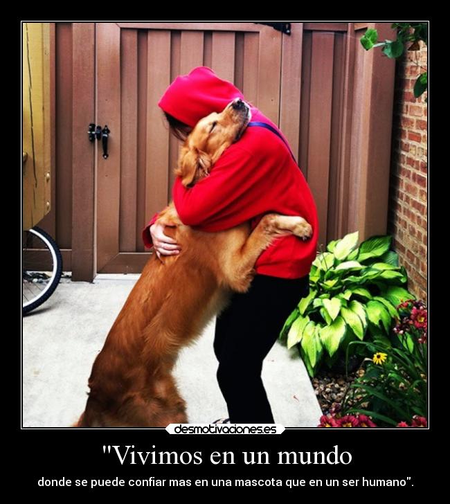 Vivimos en un mundo -