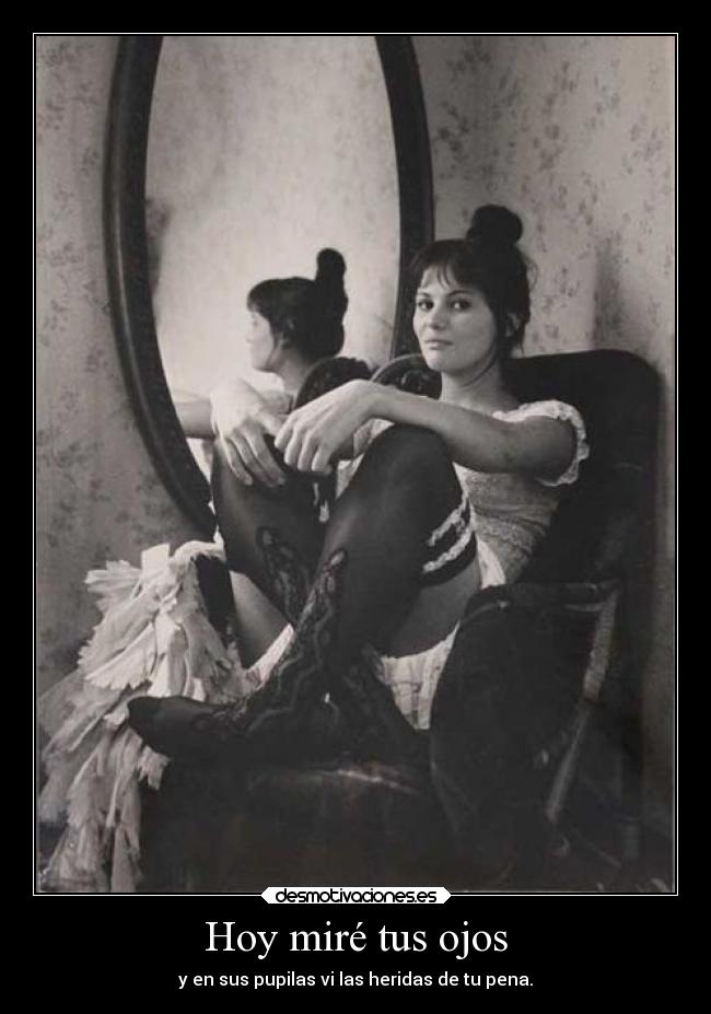 Hoy miré tus ojos - 